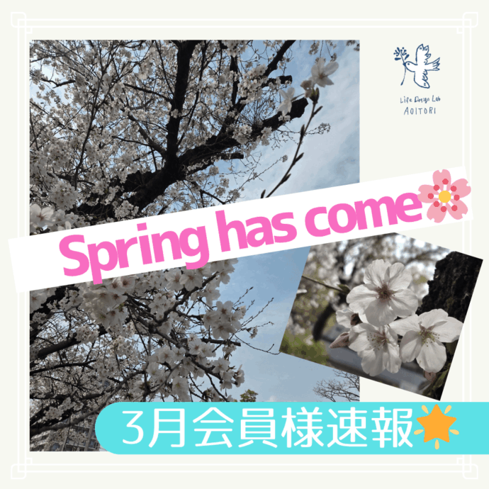 《3月会員さま速報：春本番！婚活、動いています🌸》
